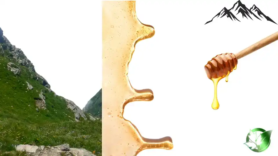 Wholesale packaging for Mountain Honey can be planned for retail distribution, food-service operations, store-brand, or industrial distribution.